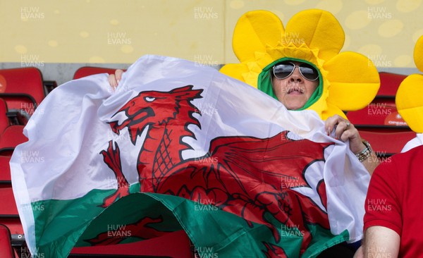 300825 - Canada v Wales, Women’s Rugby World Cup - Wales supporters at the match