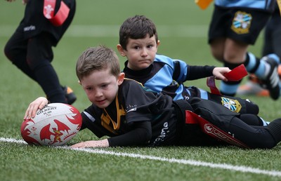 180217 - Cardiff Blues v Benetton Treviso - Guinness PRO12 - Merthyr RFC