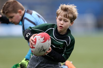 180217 - Cardiff Blues v Benetton Treviso - Guinness PRO12 - Gwernyfed RFC
