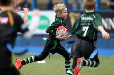 180217 - Cardiff Blues v Benetton Treviso - Guinness PRO12 - Gwernyfed RFC