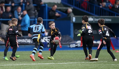 180217 - Cardiff Blues v Benetton Treviso - Guinness PRO12 - Merthyr RFC