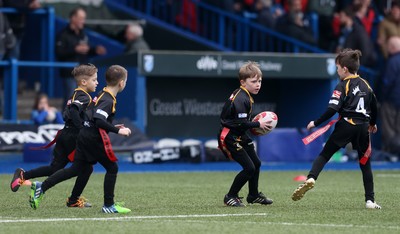 180217 - Cardiff Blues v Benetton Treviso - Guinness PRO12 - Merthyr RFC