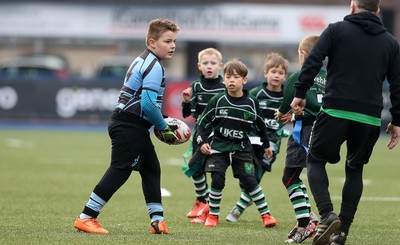 180217 - Cardiff Blues v Benetton Treviso - Guinness PRO12 - Gwernyfed RFC