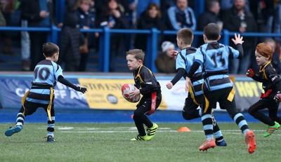 180217 - Cardiff Blues v Benetton Treviso - Guinness PRO12 - Merthyr RFC