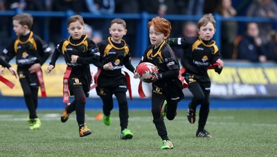 180217 - Cardiff Blues v Benetton Treviso - Guinness PRO12 - Merthyr RFC