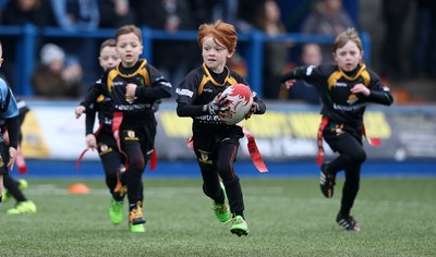 180217 - Cardiff Blues v Benetton Treviso - Guinness PRO12 - Merthyr RFC