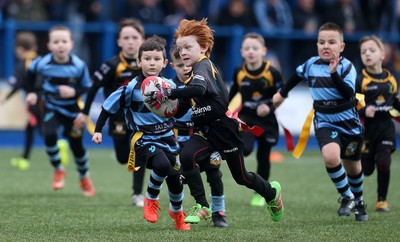 180217 - Cardiff Blues v Benetton Treviso - Guinness PRO12 - Merthyr RFC