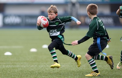 180217 - Cardiff Blues v Benetton Treviso - Guinness PRO12 - Gwernyfed RFC