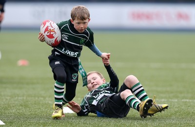 180217 - Cardiff Blues v Benetton Treviso - Guinness PRO12 - Gwernyfed RFC