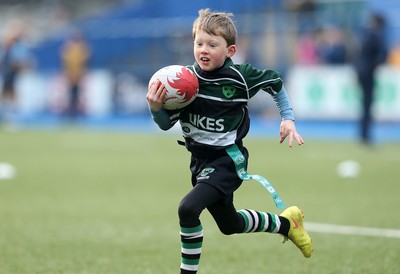 180217 - Cardiff Blues v Benetton Treviso - Guinness PRO12 - Gwernyfed RFC