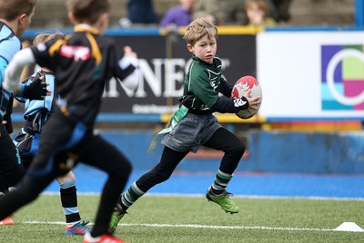 180217 - Cardiff Blues v Benetton Treviso - Guinness PRO12 - Gwernyfed RFC