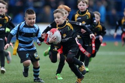 180217 - Cardiff Blues v Benetton Treviso - Guinness PRO12 - Merthyr RFC