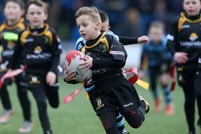 180217 - Cardiff Blues v Benetton Treviso - Guinness PRO12 - Merthyr RFC