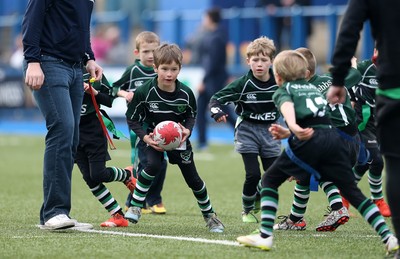 180217 - Cardiff Blues v Benetton Treviso - Guinness PRO12 - Gwernyfed RFC