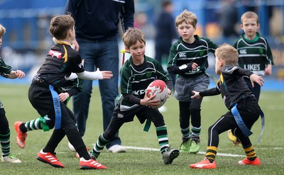 180217 - Cardiff Blues v Benetton Treviso - Guinness PRO12 - Gwernyfed RFC
