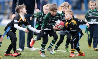 180217 - Cardiff Blues v Benetton Treviso - Guinness PRO12 - Gwernyfed RFC