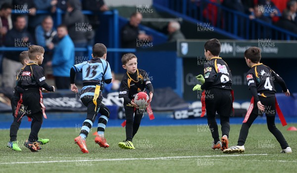 180217 - Cardiff Blues v Benetton Treviso - Guinness PRO12 - Merthyr RFC