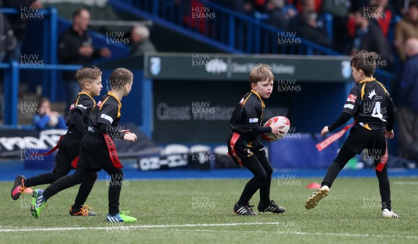 180217 - Cardiff Blues v Benetton Treviso - Guinness PRO12 - Merthyr RFC