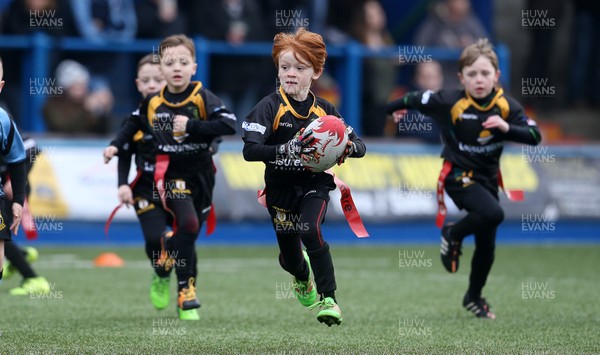 180217 - Cardiff Blues v Benetton Treviso - Guinness PRO12 - Merthyr RFC