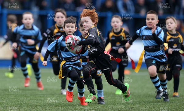 180217 - Cardiff Blues v Benetton Treviso - Guinness PRO12 - Merthyr RFC