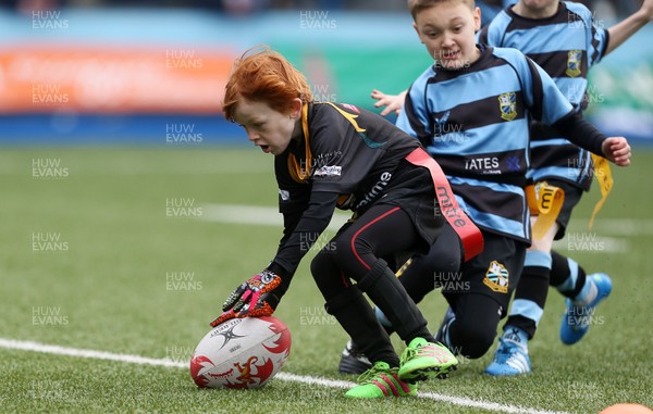 180217 - Cardiff Blues v Benetton Treviso - Guinness PRO12 - Merthyr RFC