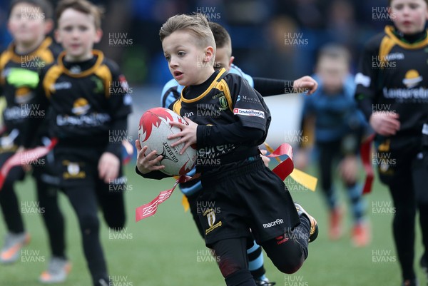 180217 - Cardiff Blues v Benetton Treviso - Guinness PRO12 - Merthyr RFC
