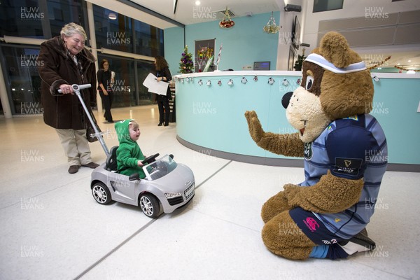 071217 - Cardiff Blues Children's Hospital Visit - Jayden (13 months) wasn't to pleased to meet Bruiser the Bear