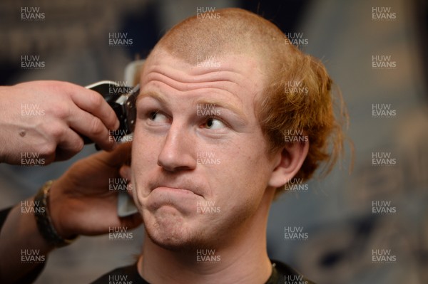 311213 - Cardiff Blues Charity Hair Shave -Rhys Patchell has his hair shaved off to raise money for Velindre in support of team Mattew Rees who is being treated for testicular cancer