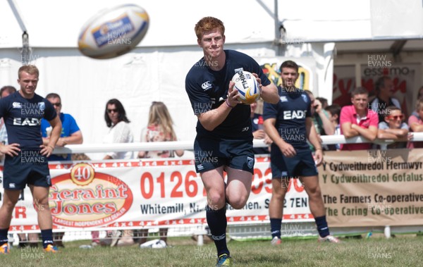 240713 - Cardiff Blues training session at The Royal Welsh Show