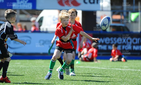 130515 - Cardiff Blues -