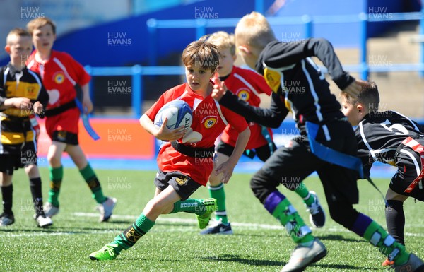 130515 - Cardiff Blues -