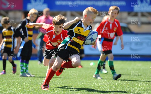 130515 - Cardiff Blues -