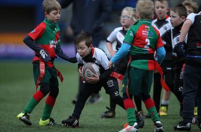 120217 - Cardiff Blues Tag Rugby Festival