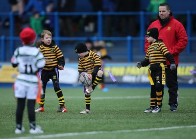 120217 - Cardiff Blues Tag Rugby Festival