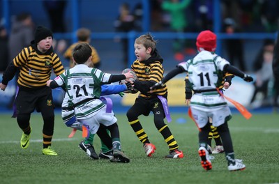 120217 - Cardiff Blues Tag Rugby Festival