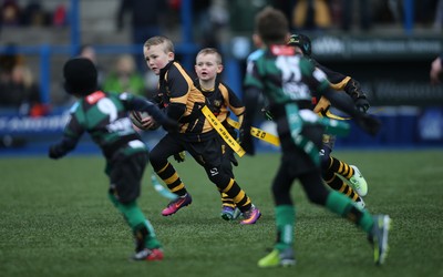 120217 - Cardiff Blues Tag Rugby Festival