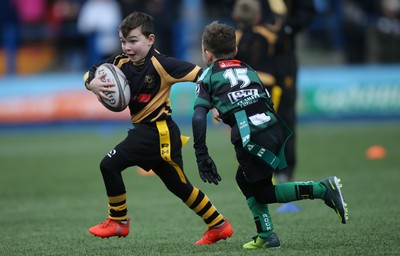 120217 - Cardiff Blues Tag Rugby Festival
