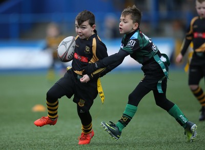 120217 - Cardiff Blues Tag Rugby Festival
