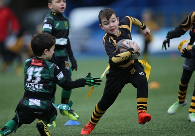 120217 - Cardiff Blues Tag Rugby Festival