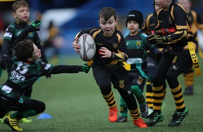 120217 - Cardiff Blues Tag Rugby Festival