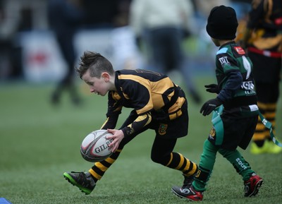 120217 - Cardiff Blues Tag Rugby Festival