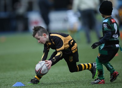 120217 - Cardiff Blues Tag Rugby Festival