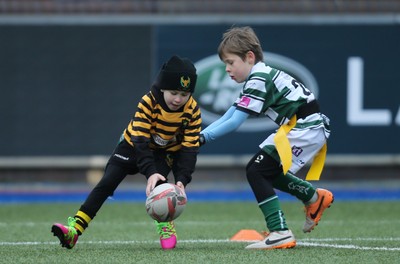 120217 - Cardiff Blues Tag Rugby Festival