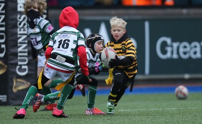 120217 - Cardiff Blues Tag Rugby Festival