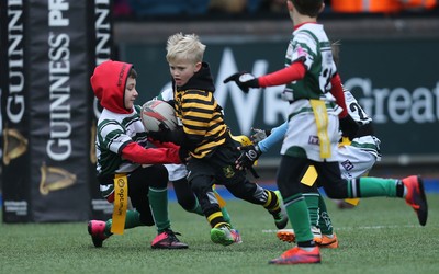 120217 - Cardiff Blues Tag Rugby Festival
