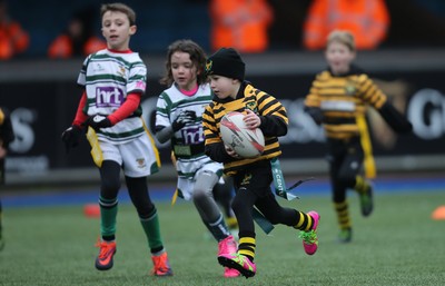 120217 - Cardiff Blues Tag Rugby Festival