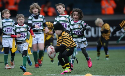 120217 - Cardiff Blues Tag Rugby Festival