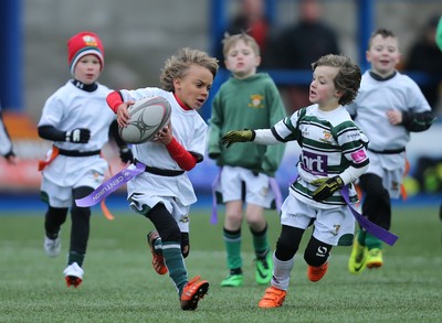 120217 - Cardiff Blues Tag Rugby Festival