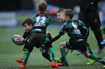 120217 - Cardiff Blues Tag Rugby Festival