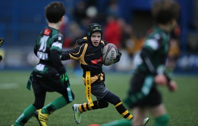 120217 - Cardiff Blues Tag Rugby Festival